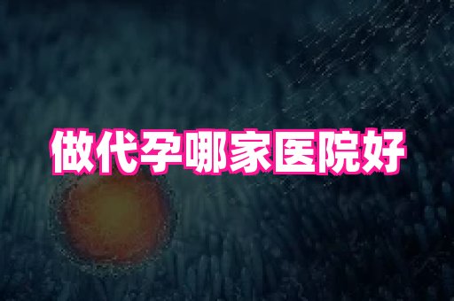 swisee孕网 1