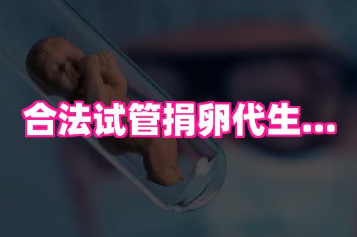 swisee孕网 3